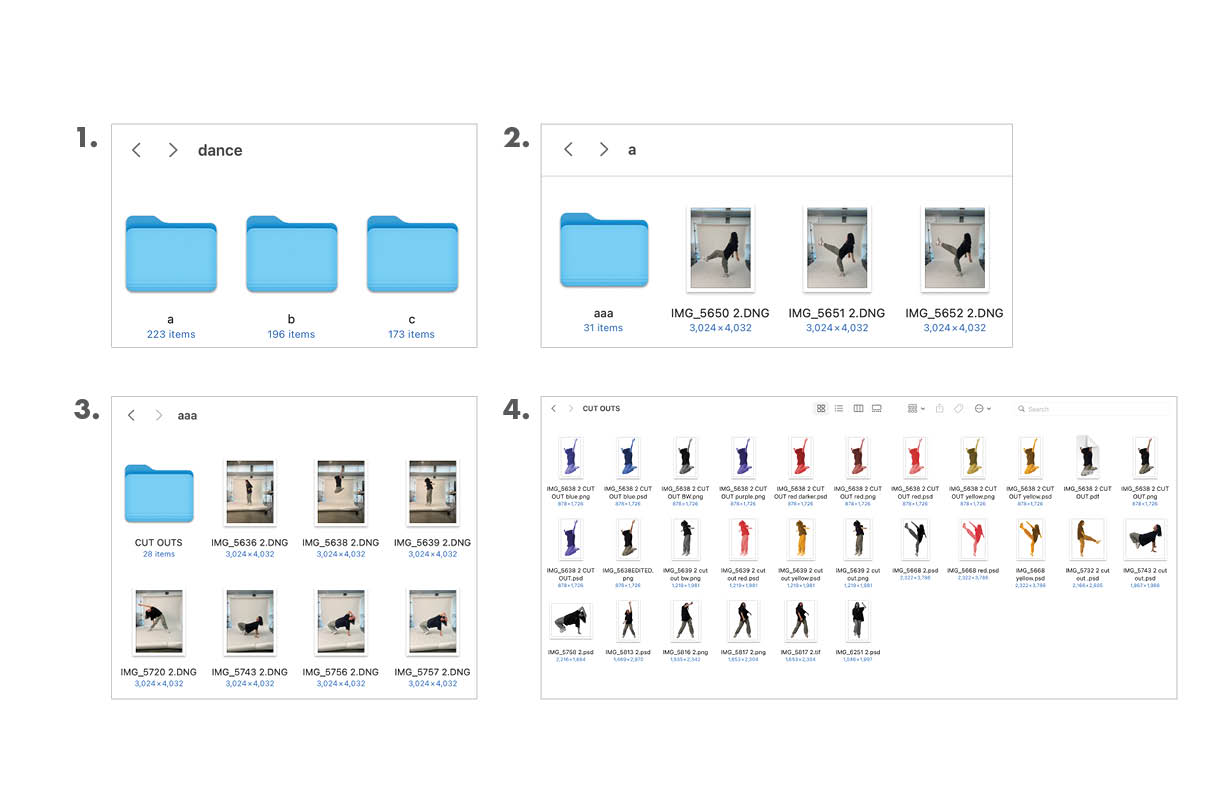 Screenshots of organizing and ranking photographs.