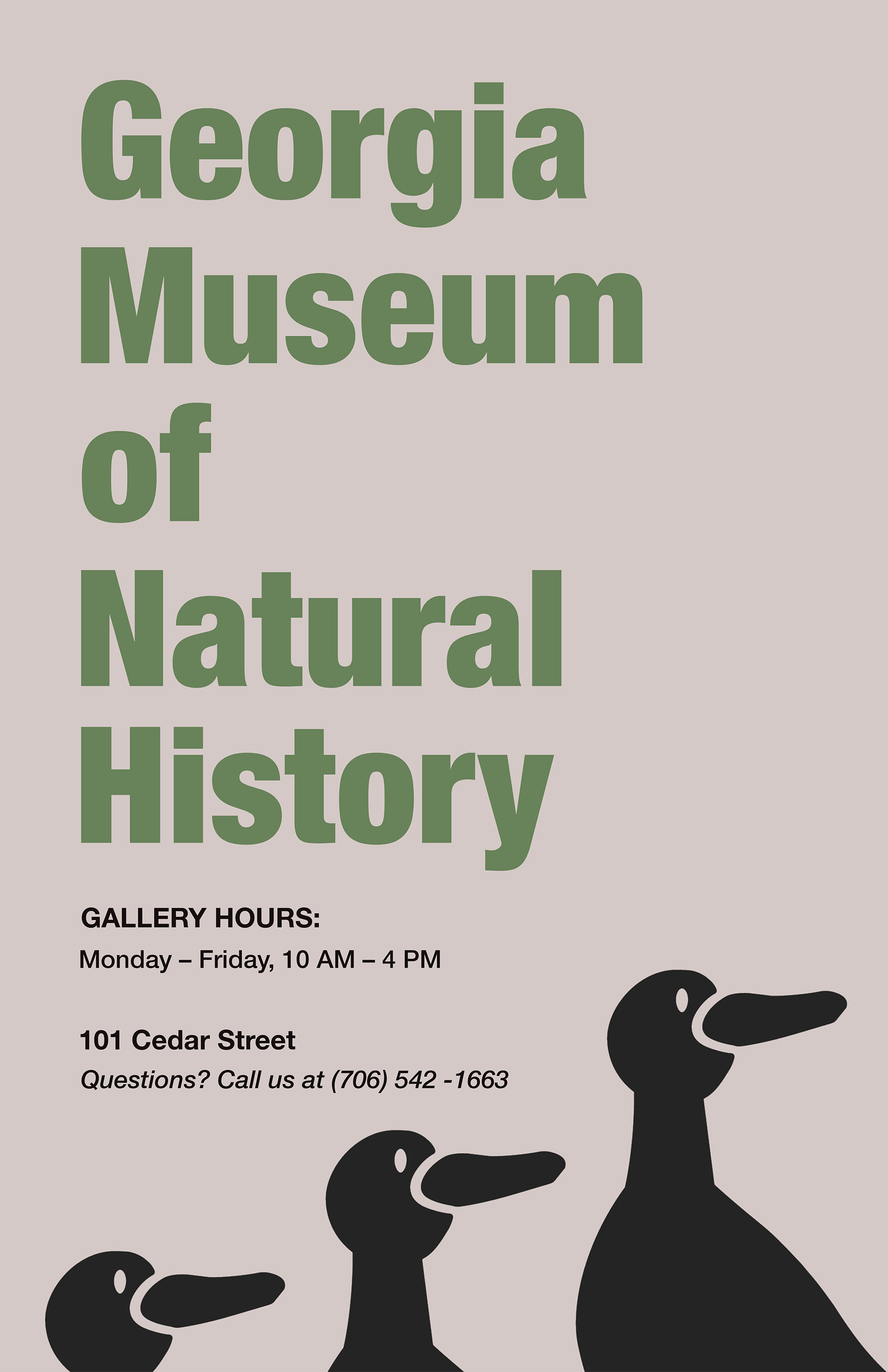 Version one of a poster using the duck icon. Title: Georgia Museum of Natural History. Subtitle 1: Gallery Hours. Subtitle 2: 101 Cedar Street.